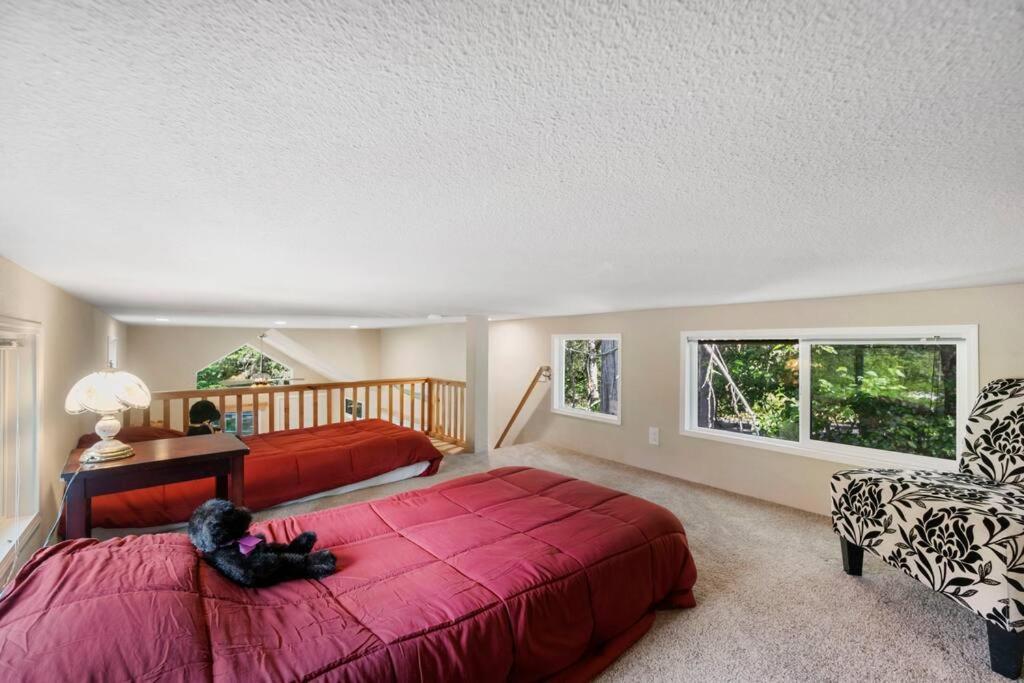 New Tiny Home Steps Away From Mt. Rainier Ashford Exteriör bild