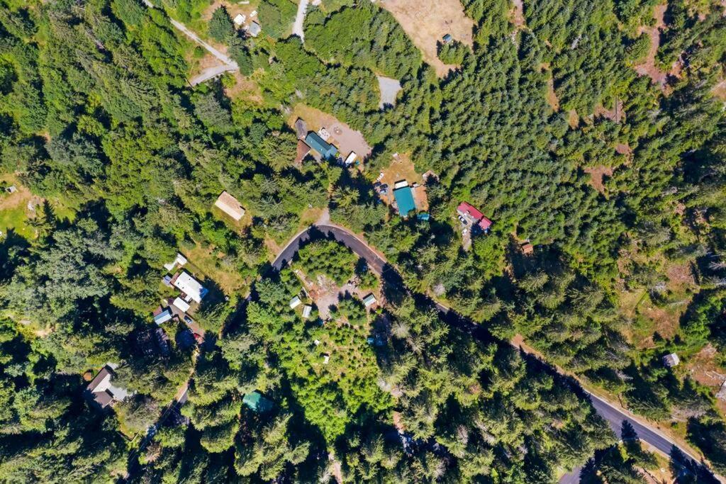 New Tiny Home Steps Away From Mt. Rainier Ashford Exteriör bild