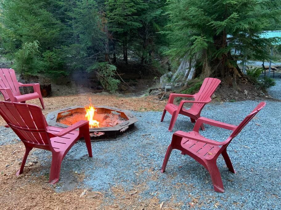 New Tiny Home Steps Away From Mt. Rainier Ashford Exteriör bild