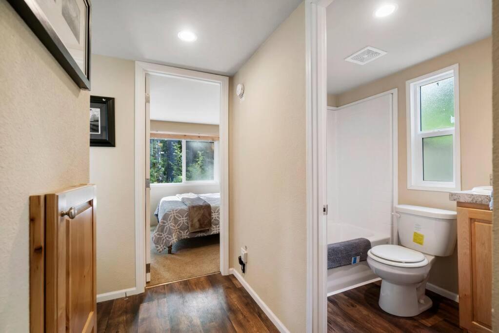 New Tiny Home Steps Away From Mt. Rainier Ashford Exteriör bild
