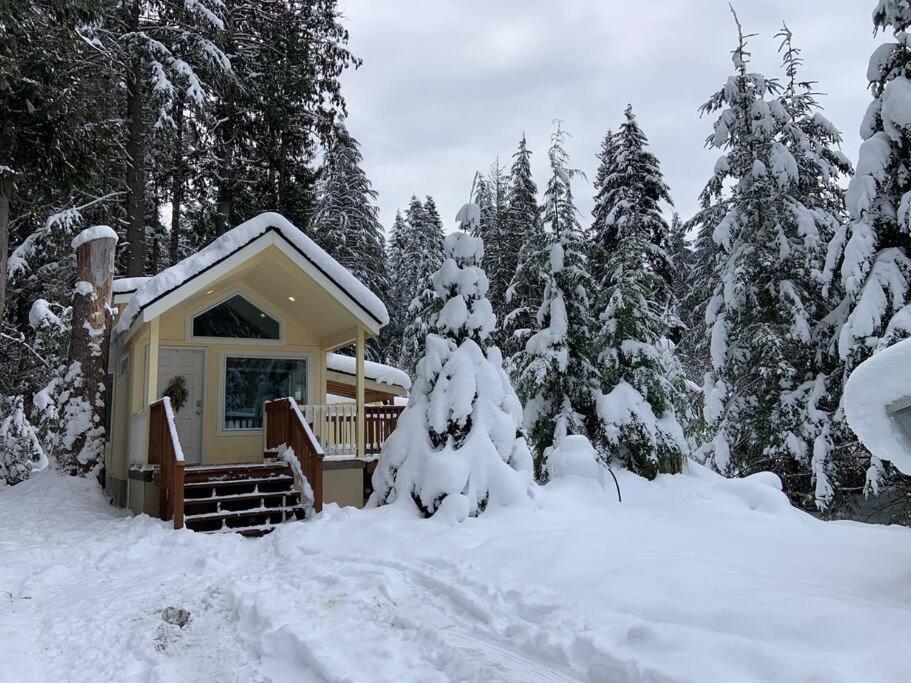 New Tiny Home Steps Away From Mt. Rainier Ashford Exteriör bild